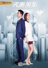 Stream Perfect Partner in Full HD for Free on MoviesJoy