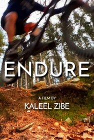 watch Endure movies free online Putlocker