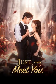 Watch free Just to Meet You movies online - MoviesJoy