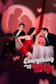Watch free Everything About My Wife movies online on on HDToday site