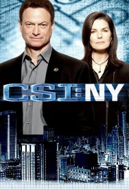 Stream CSI: NY in Full HD for Free on MoviesJoy