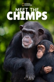 Watch Free Meet the Chimps Movies HD Online FMovies Alternatives site