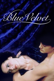 Stream Blue Velvet Movies in HD Free on MoviesJoy