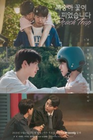 Stream Free Peach Trap Movies in HD Online | MovieJoy