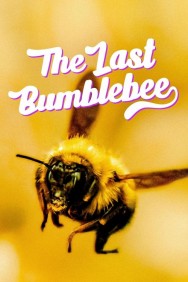 Watch Free The Last Bumblebee Movies Full HD Online on MovieJoy