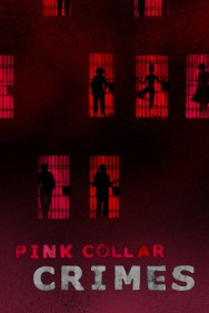 Stream Pink Collar Crimes in Full HD for Free on MoviesJoy