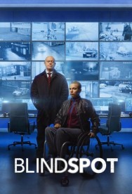 Stream Blindspot Movies in HD Free on MoviesJoy