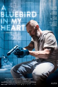 Watch Free A Bluebird in My Heart Movies HD Online FMovies Alternatives site