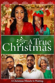 Watch A True Christmas Movies For Free Online | Twinship