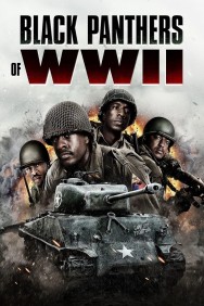 Black Panthers of WWII Watch free Black Panthers of WWII movies online on on HDToday site