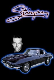 Stream Stingray in Full HD for Free on MoviesJoy