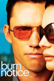 Stream Burn Notice Movies in HD Free on MoviesJoy