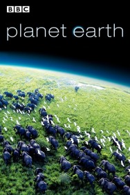 Stream Planet Earth in Full HD for Free on MoviesJoy