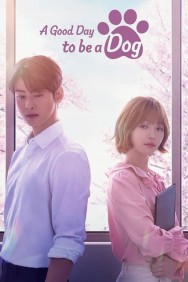 Stream A Good Day to be a Dog Movies in HD Free on MoviesJoy