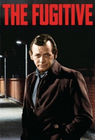 Watch The Fugitive movies free MoviesJoy