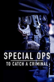 Watch Special Ops: To Catch A Criminal Movies For Free Online | Twinship