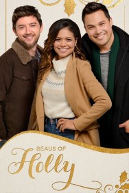 Stream Beaus of Holly in Full HD for Free on MoviesJoy