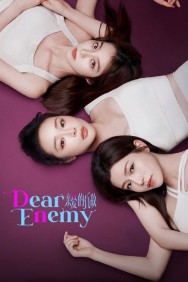 Dear Enemy Watch free Dear Enemy movies online on on HDToday site