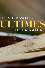 Watch free Nature's Ultimate Survivors movies online on on MoviesJoy Alternatives site