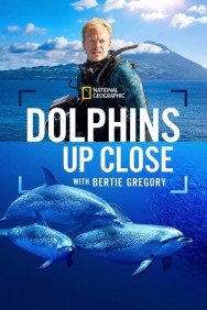 Dolphins Up Close with Bertie Gregory Stream Dolphins Up Close with Bertie Gregory HD for Free on HDToday