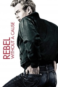 Stream Rebel Without a Cause Movies in HD Free on MoviesJoy