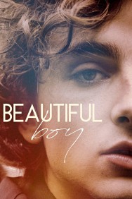 Stream Beautiful Boy in Full HD for Free on MoviesJoy