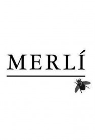 Watch free Merlí movies online on on MoviesJoy Alternatives site