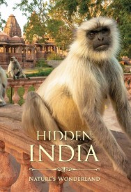 Watch Hidden India Movies Free Online on MoviesJoy