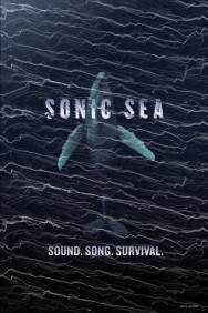 Watch Free Sonic Sea Movies HD Online FMovies Alternatives site