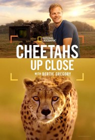 Watch Cheetahs Up Close with Bertie Gregory movies free on MoviesJoy