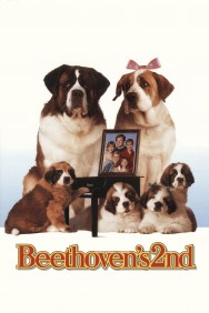 Stream Beethoven's 2nd Movies in HD Free on MoviesJoy