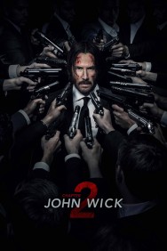 Stream John Wick: Chapter 2 Movies in HD Free on MoviesJoy