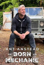 Watch free Ant Anstead: Born Mechanic movies online