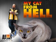 Watch Free My Cat from Hell Movies HD Online FMovies Alternatives site