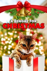 Watch Free A Bengal for Christmas Movies HD Online FMovies Alternatives site