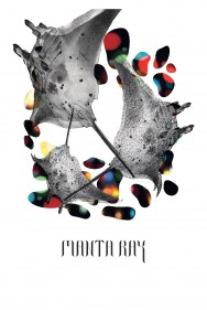 Stream Manta Ray in Full HD for Free on MoviesJoy