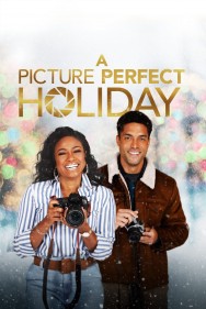 Watch Free Movies  A Picture Perfect Holiday Full HD Online | M4uHD