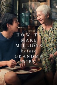 Watch free How to Make Millions Before Grandma Dies movies online on on MoviesJoy Alternatives site