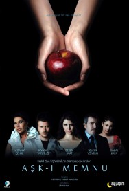 Stream Forbidden Love Movies in HD Free on MoviesJoy