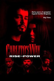 Watch Free Carlito's Way: Rise to Power Movies HD Online FMovies Alternatives site