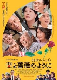 Watch free What a Wonderful Family! 3: My Wife, My Life movies online on on MoviesJoy Alternatives site