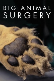 Stream Big Animal Surgery in Full HD for Free on MoviesJoy