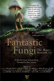 Stream Fantastic Fungi Movies in HD Free on MoviesJoy