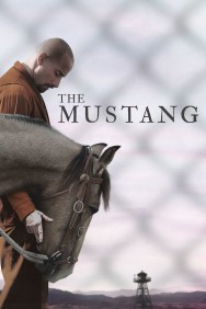 Watch free The Mustang movies online on on MoviesJoy Alternatives site