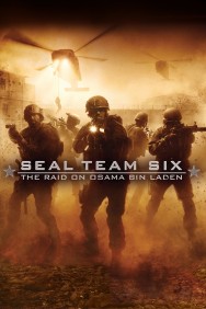 Watch free Seal Team Six: The Raid on Osama Bin Laden movies online on on MoviesJoy Alternatives site