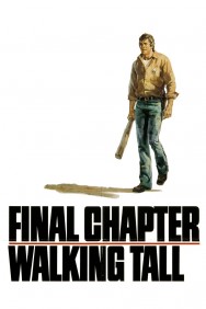 Stream Final Chapter: Walking Tall Movies in HD Free on MoviesJoy