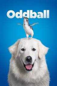 Watch Free Oddball Movies Full HD Online on MovieJoy