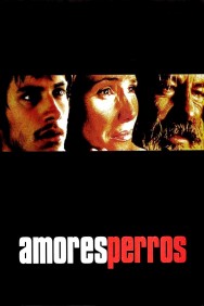 Stream Amores Perros in Full HD for Free on MoviesJoy