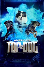 Watch Free America's Top Dog Movies HD Online FMovies Alternatives site