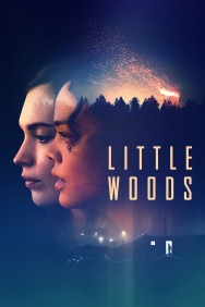 Stream Little Woods in Full HD for Free on MoviesJoy